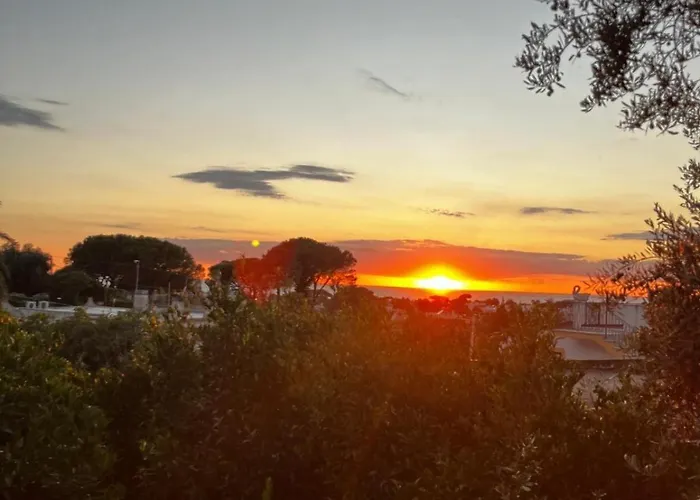 Kalos - Tra Il E Il Mare Ischia